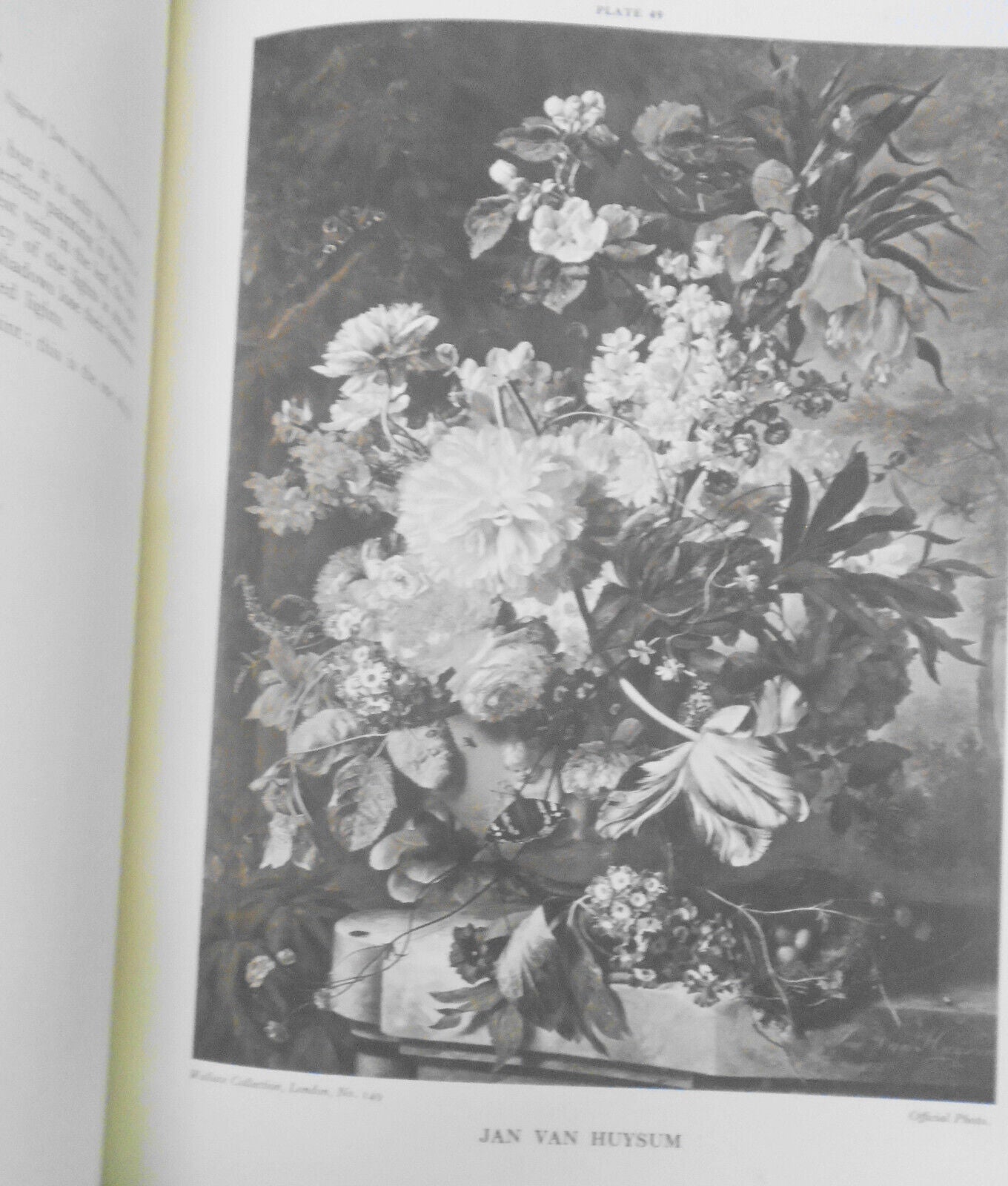 1928 Dutch & Flemish Fruit & Flower Painters of  17th & 18th Centuries - 1st ed