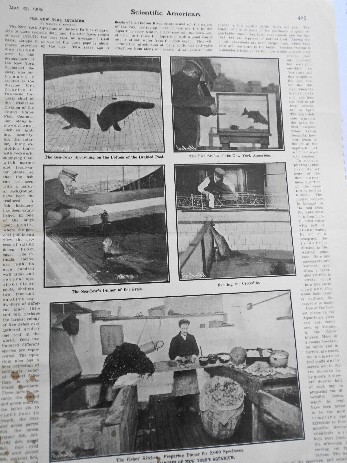 3,000 Mile Ocean Cup Race; US Racing Cars... Scientific American - May 27, 1905