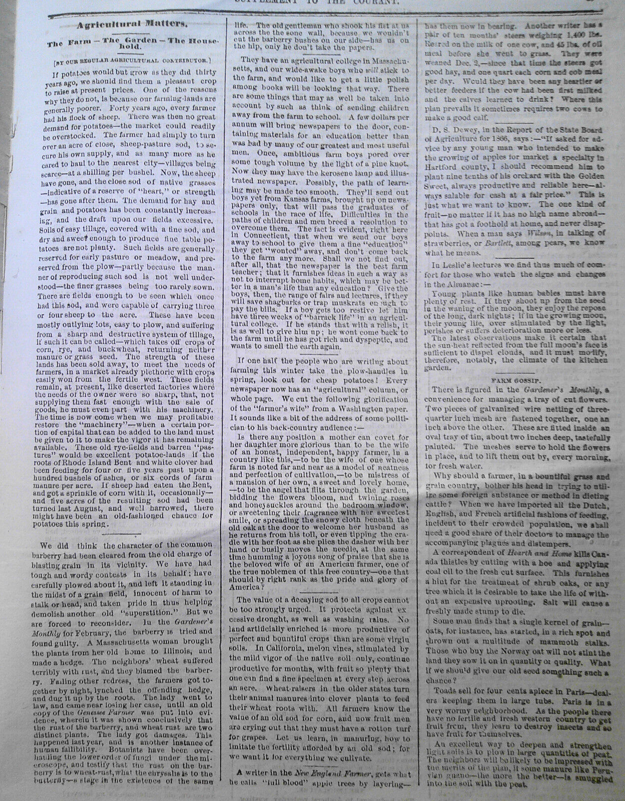 Harriet Beecher Stowe on Babies; Kentucky Blacks -Supplement To the Courant 1869