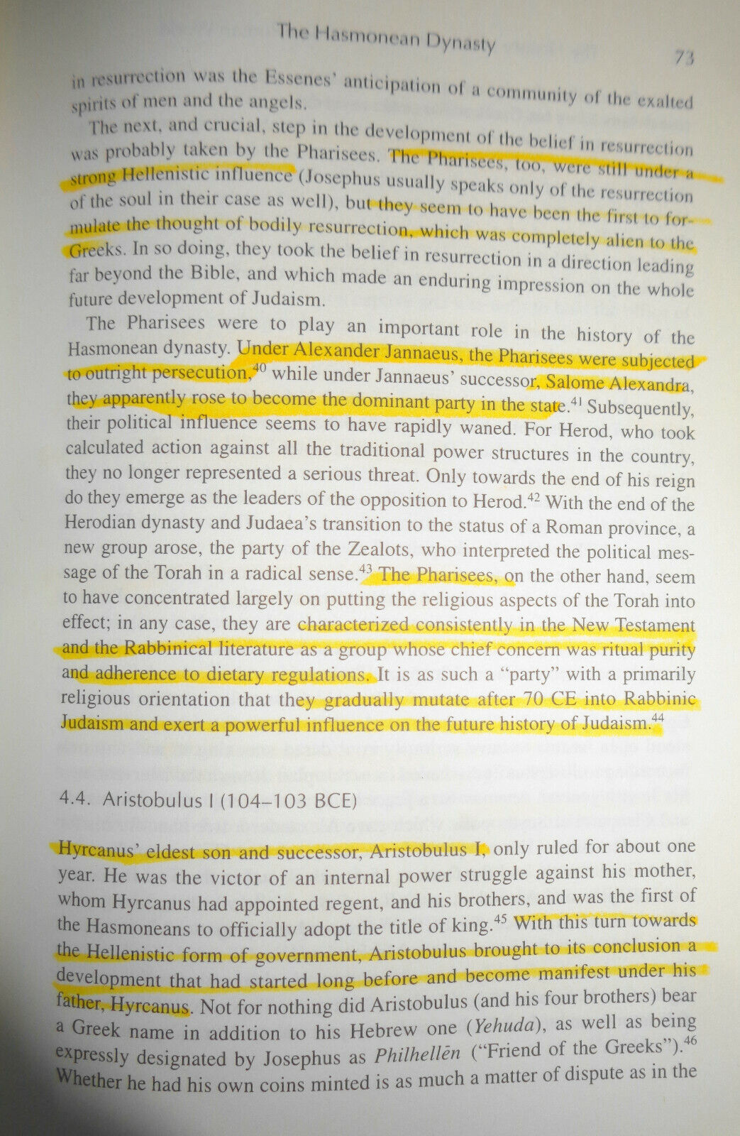 Peter Schafer - The History of the Jews in the Greco-Roman World