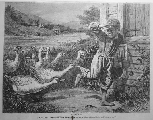 Prejudice : "... these stupid white geese ... hissing and biting at me " -  1868