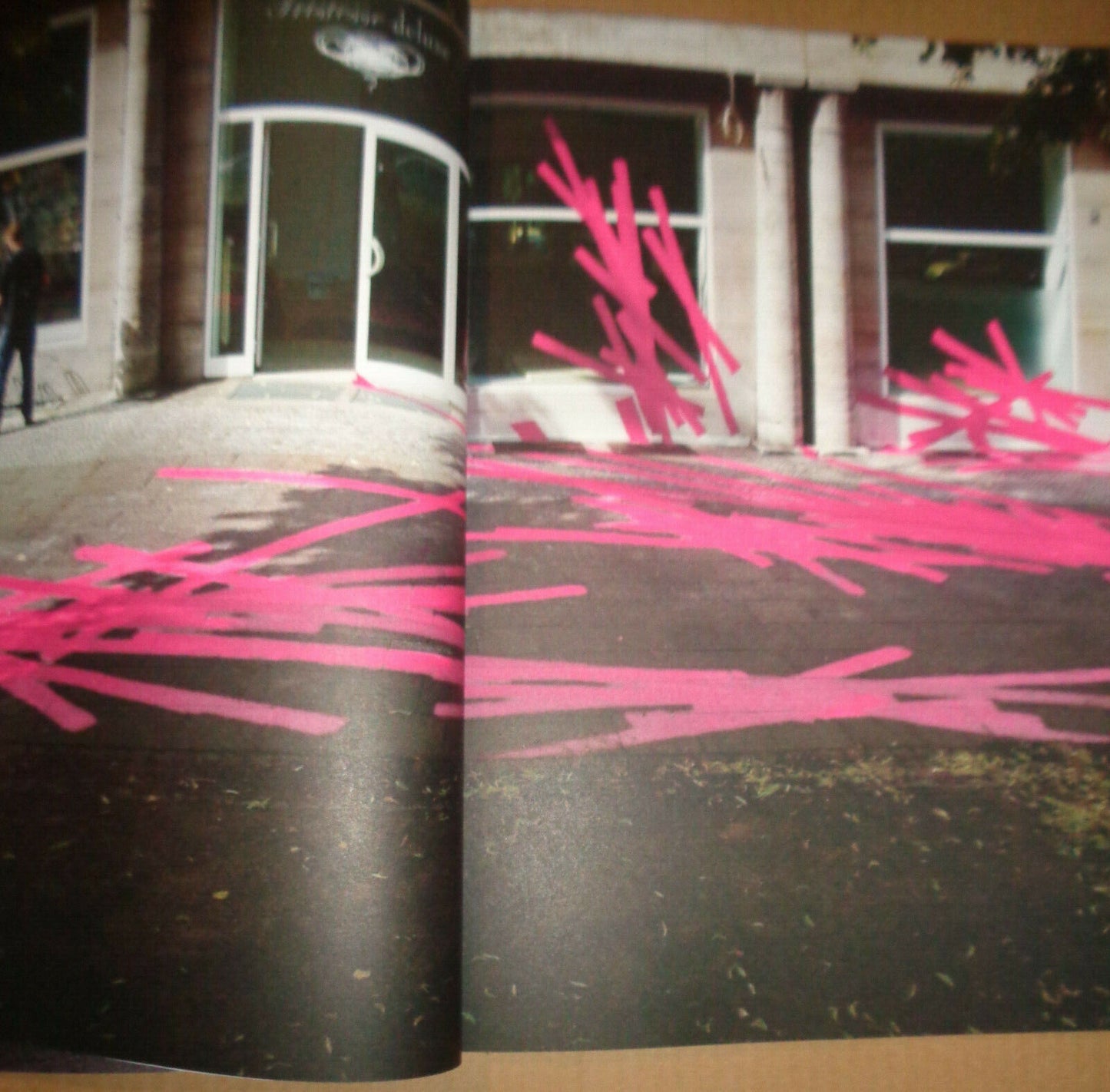 Agathe de Bailliencourt : Despite Territories - SIGNED - Berlin Revolver, 2010