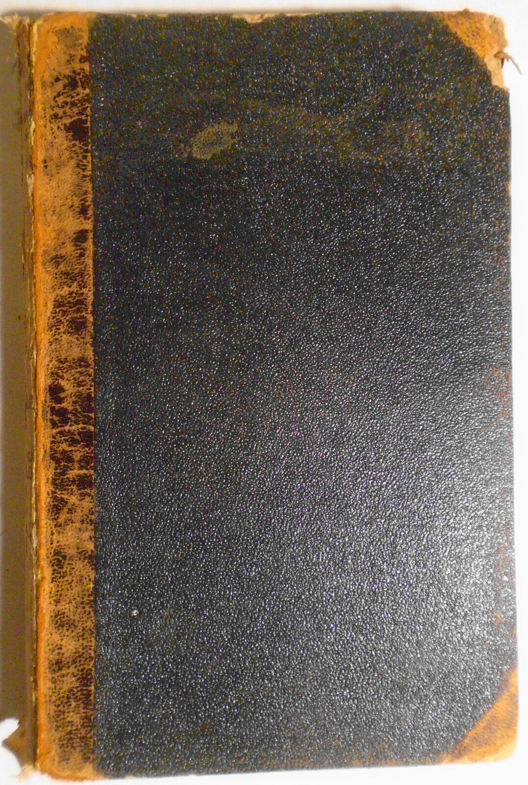 Dyret fra afgrunden i Johannes Aabenbaring, by C. Engelskjon. 1894 First Edition
