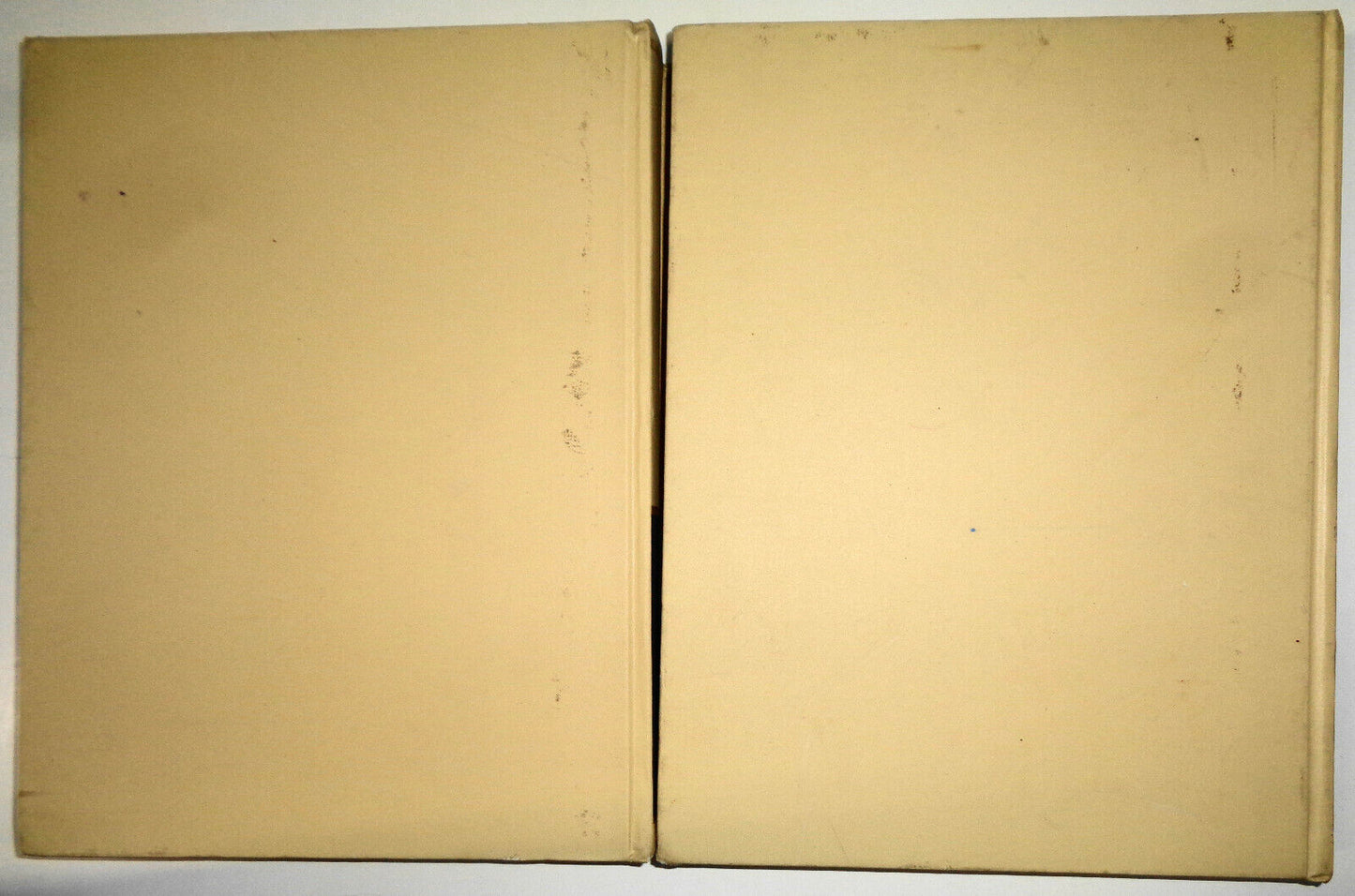 Diccionario Poligloto Barsa - 2 Vol. Set, 1980 - by Encyclopaedia Britannica