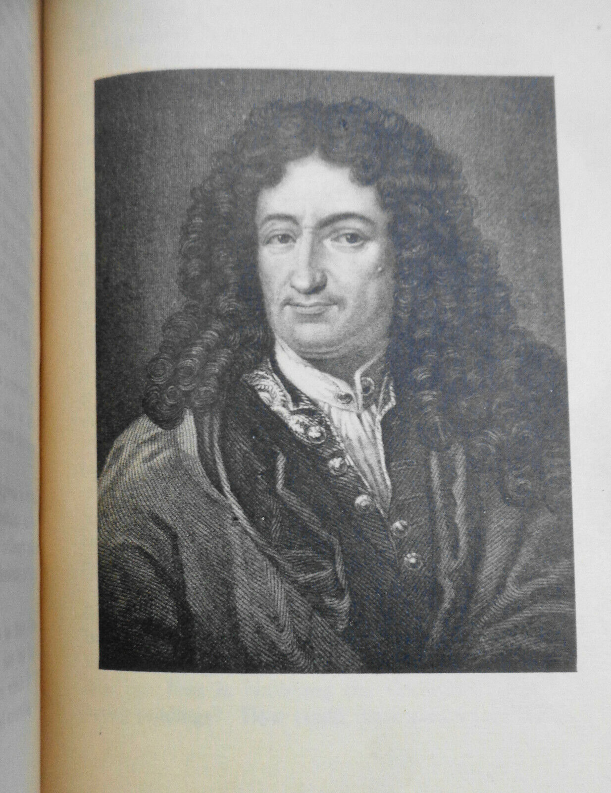 Voltaire - Essays on Literature, Philosophy, Art, History - 1901 Limited edition
