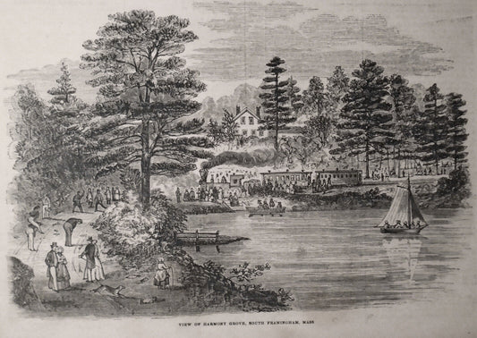 View of Harmony Grove, South Framingham, Mass.  - Gleason's 1850's