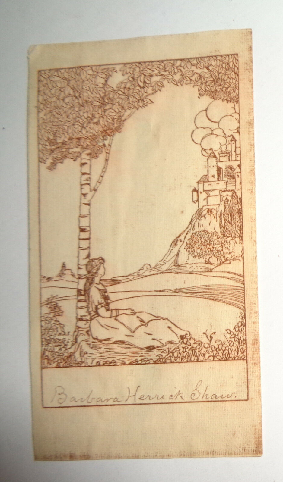 Barbara Herrick Shaw, Ex Libris Bookplate - early 1900's