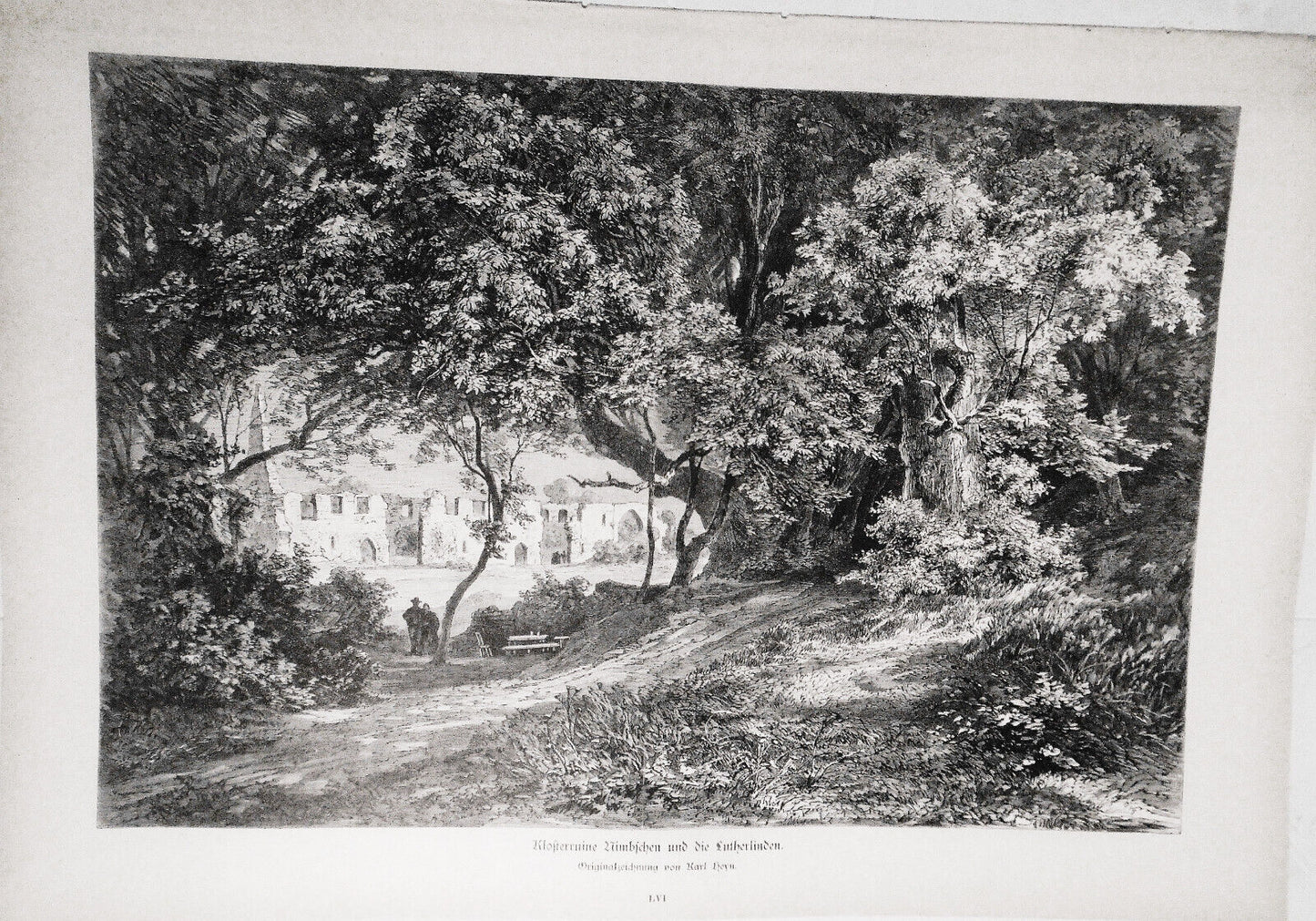 1882 Klosterruine Nimbschen und die Lutherlinden Originalseichnung von Karl Heyn