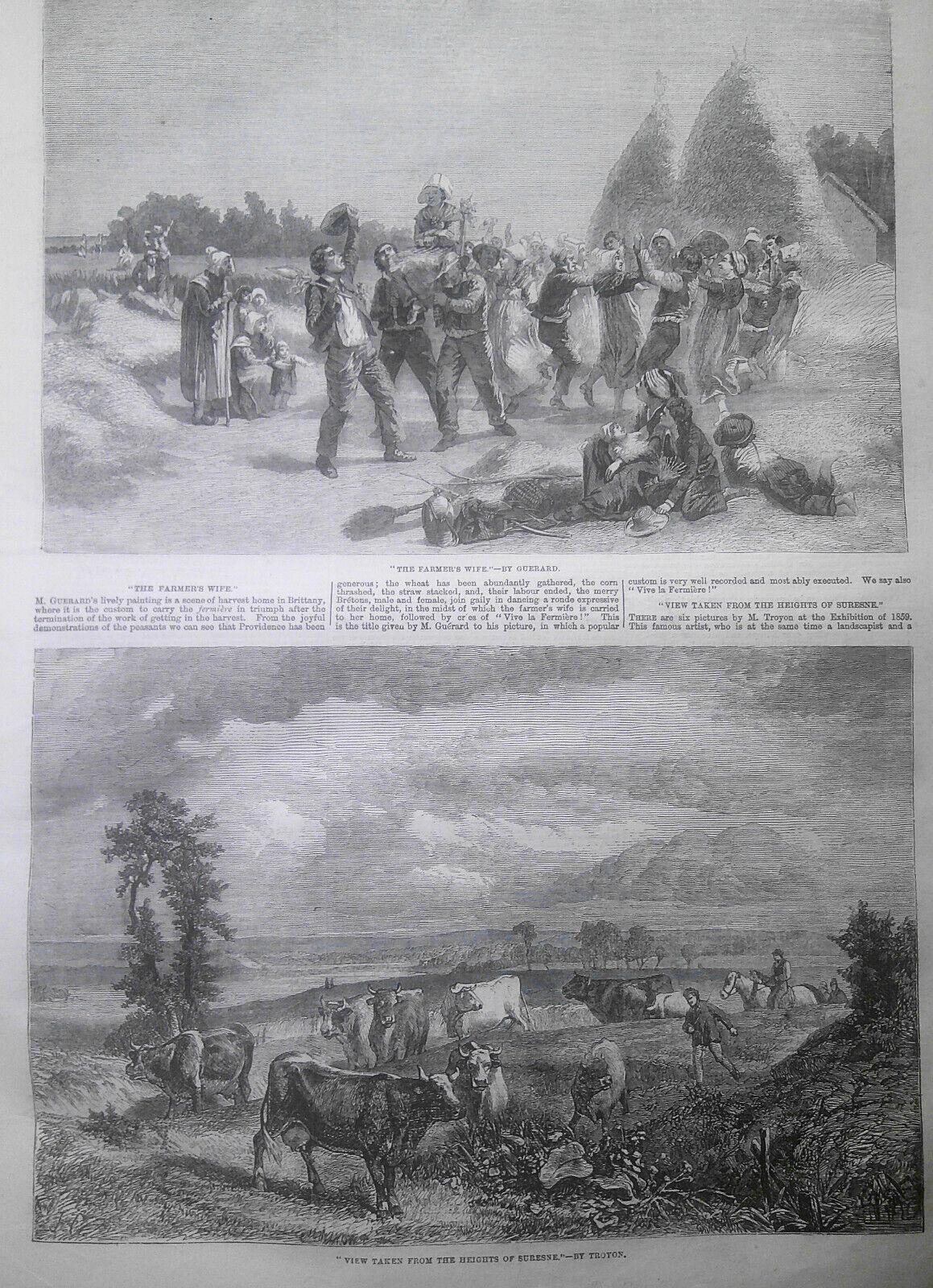 Illustrated London News July 23, 1859. Notre Dame Cathedral Restored. Cattle etc