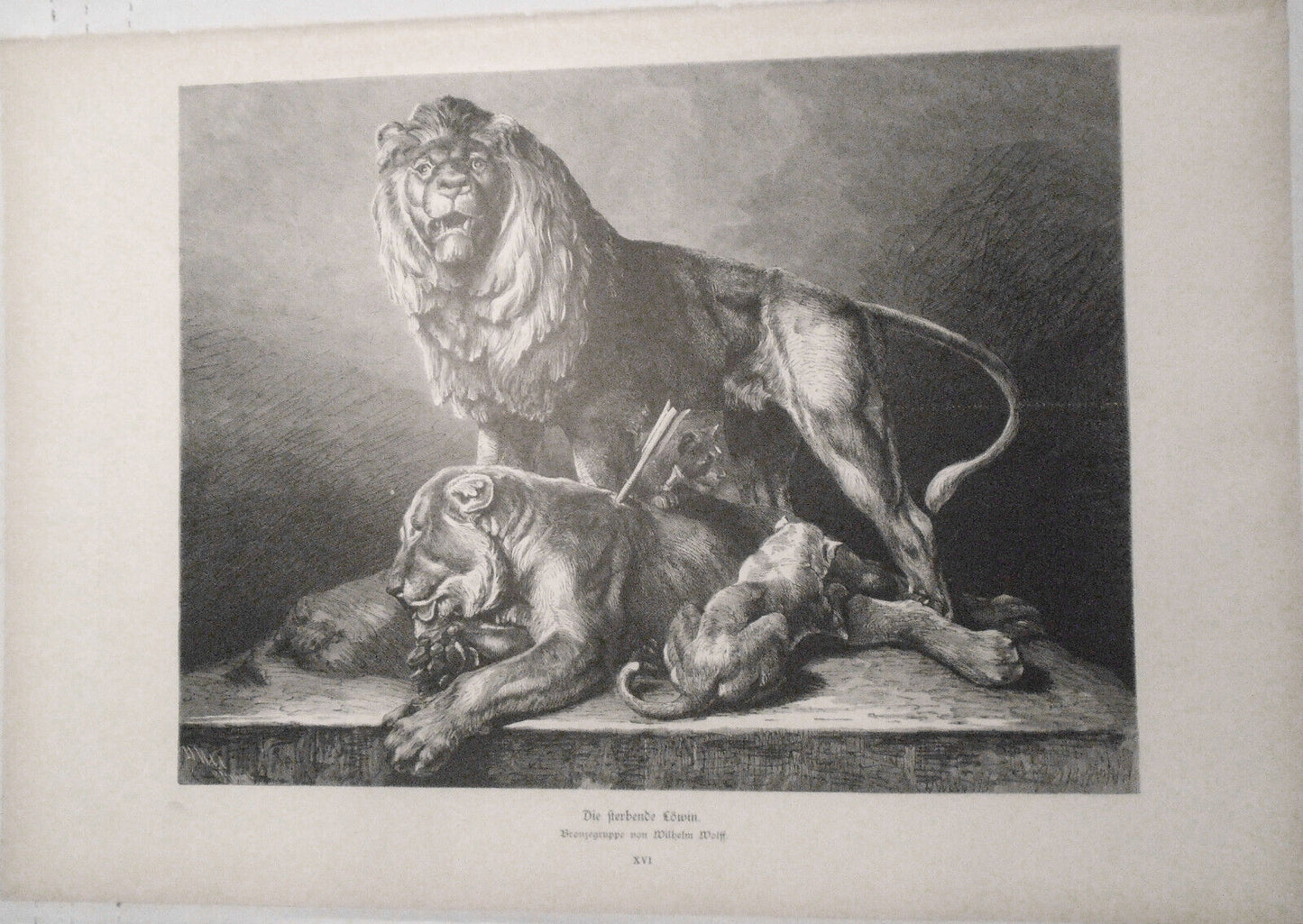 1882 Die Sterbende Lowin - Bronzegruppe von Wilhelm Wolff