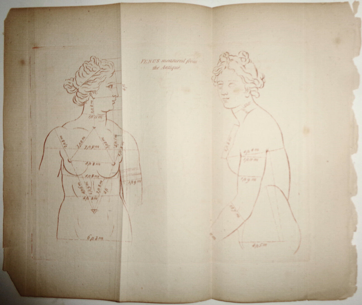 1786 - Venus measured from the Antique - plate from The Artist's Repository