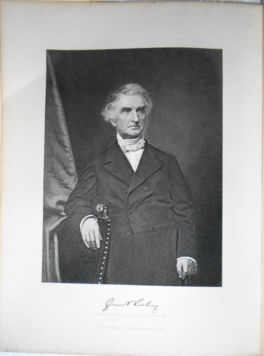Justus von Liebig - original portrait engraving - 1876 Duyckinck Int'l Gallerie