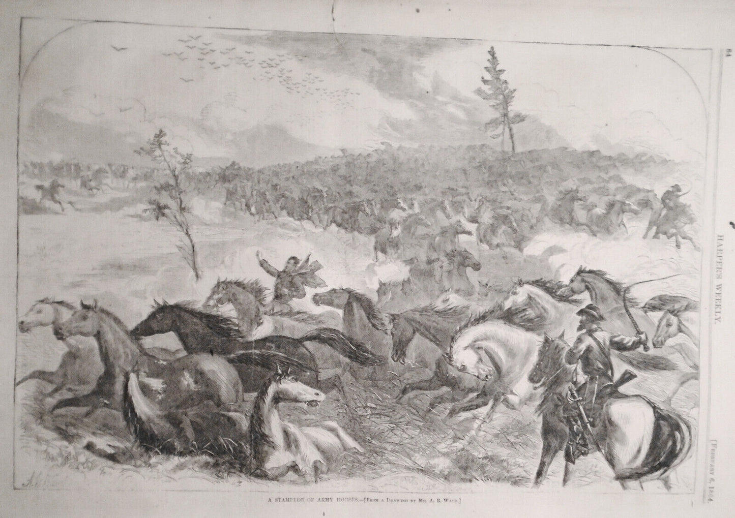 Harper's Weekly February 6, 1864.  Halt Of Wagon Train- Winslow Homer, Civil War