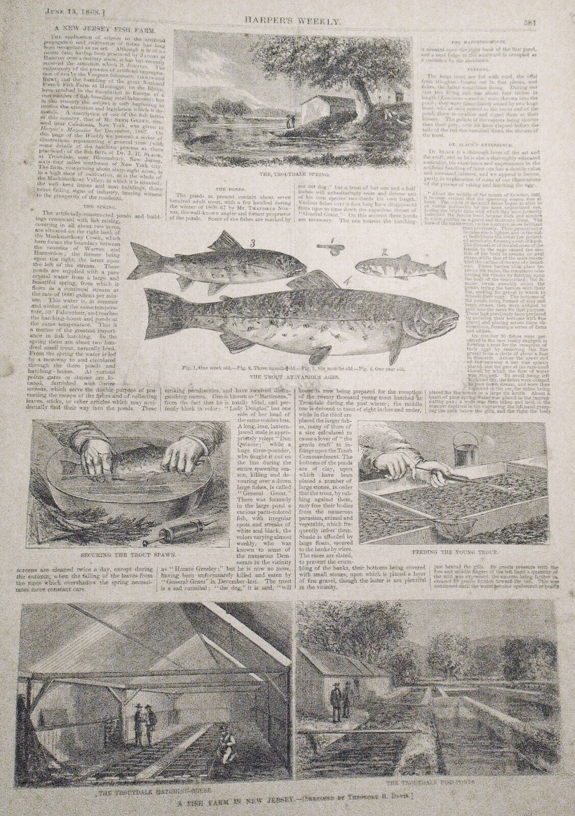 Harper's Weekly June 13, 1868: Chinese Embassy; New Jersey Fish Farm - Trout etc