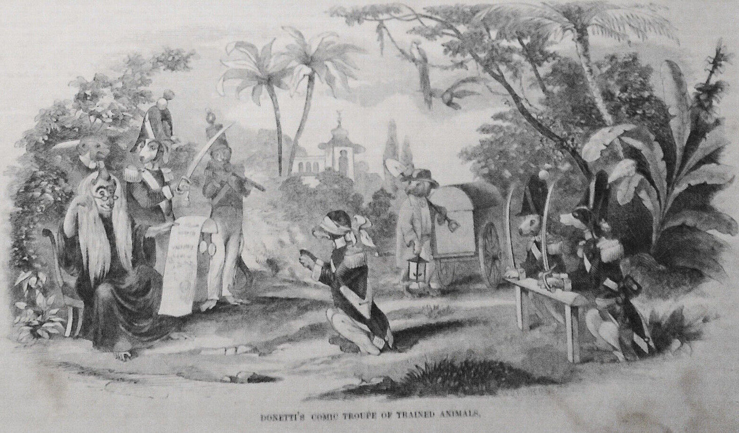 Donetti's Comic Troupe of Trained Animals - Gleason's Pictorial July 17, 1852