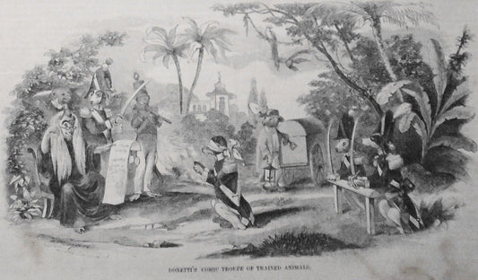 Donetti's Comic Troupe of Trained Animals - Gleason's Pictorial July 17, 1852