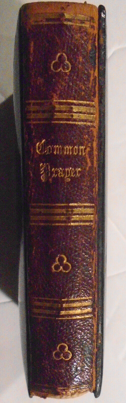 [Binding] Book of Common Prayer. ND [1882].