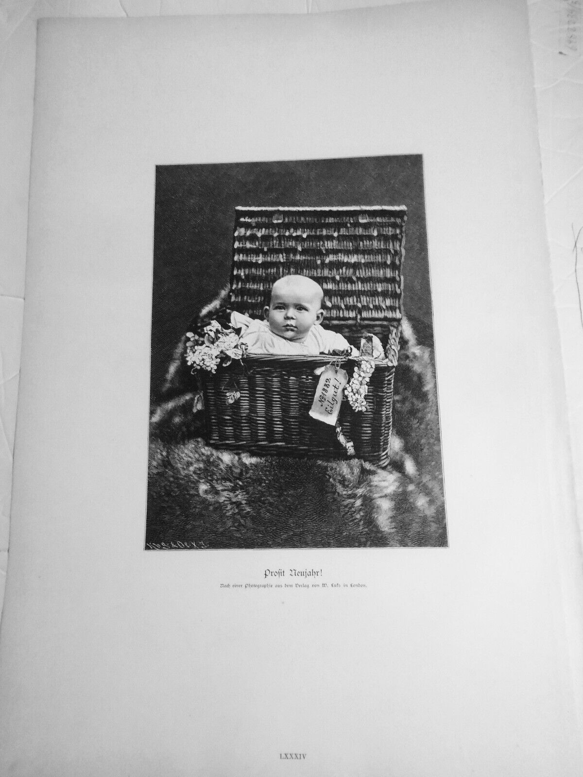 Profit Neujahr!  - 1886 original antique print - 16x11 inches