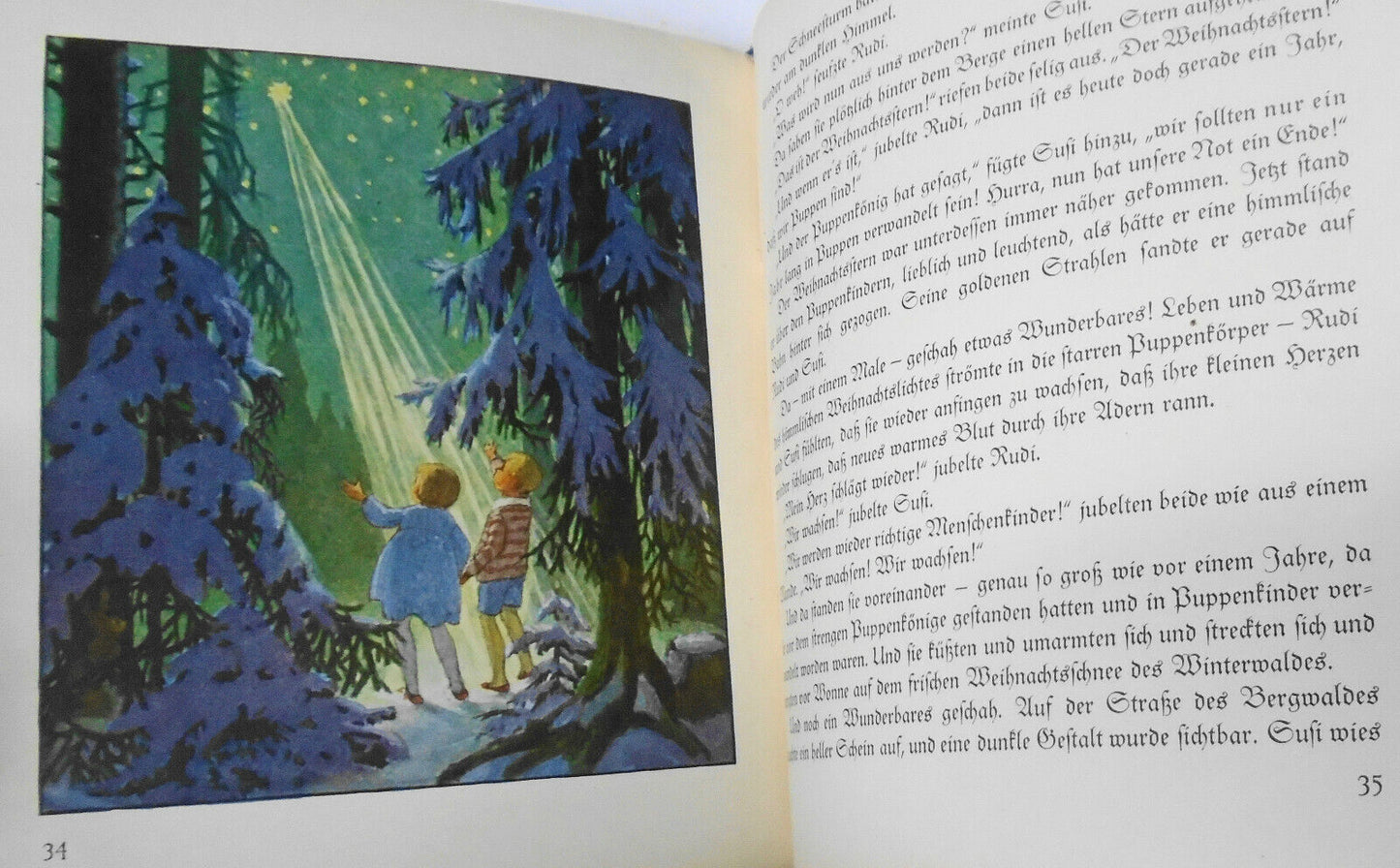 Rudi und Susi die wundersame Geschichte zweier Kinder by Gertrud Caspari [1933]