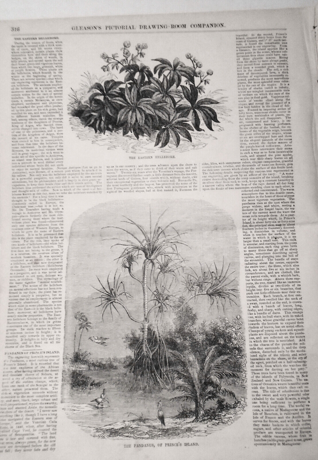 Gleason's Pictorial, May 20, 1854 - Salmon Fishing; Savannah Steamer; Oldtown ME