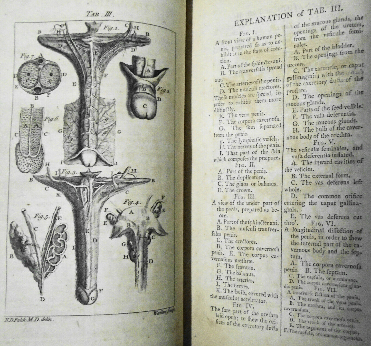 1774 A treatise on the venereal disease in three parts, by N D Falck