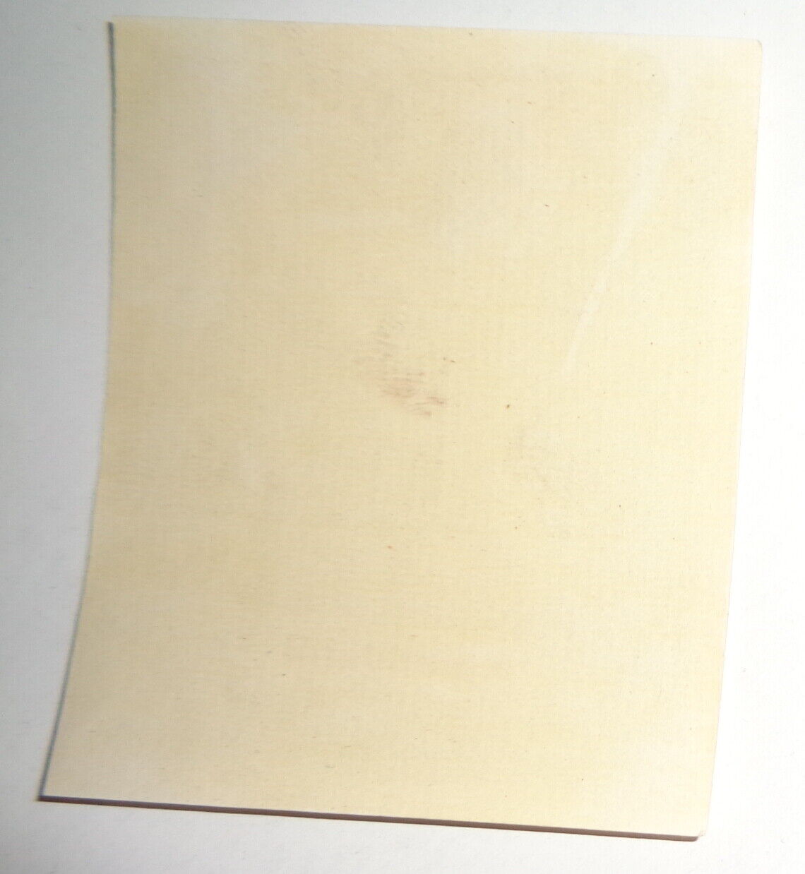 Nannerl Leyda Ex Libris Bookplate signed "M" in plate