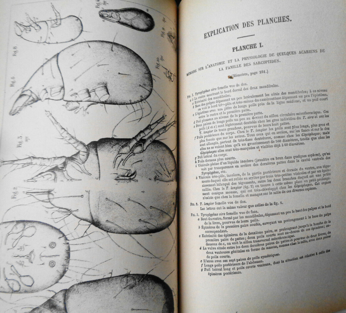 1861 COMPTES RENDUS DES SEANCES ET MEMOIRES DE LA SOCIETE DE BIOLOGIE Ser 3 T3