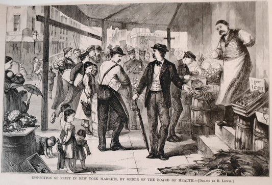 Inspection Of Fruit In New York Markets, By Order Of The Board of Health - 1873