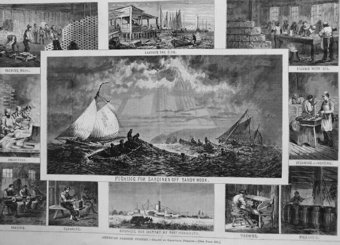 American Sardine Fishery.  Harper's Weekly, April 18, 1874 By Granville Perkins