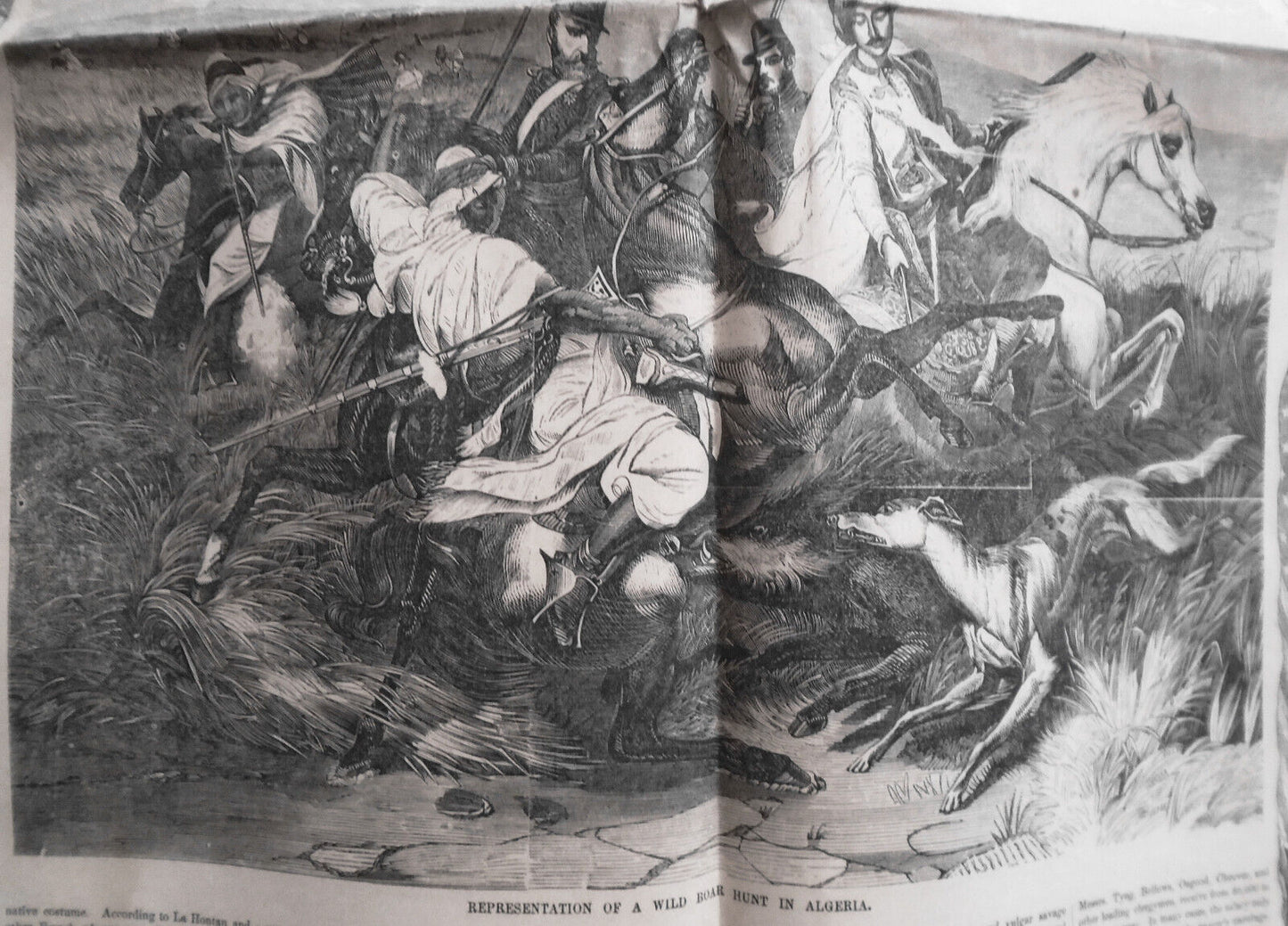 Gleason's Weekly, February 26, 1859 - Wild Boar Hunt In Algeria; Cuban Volante.