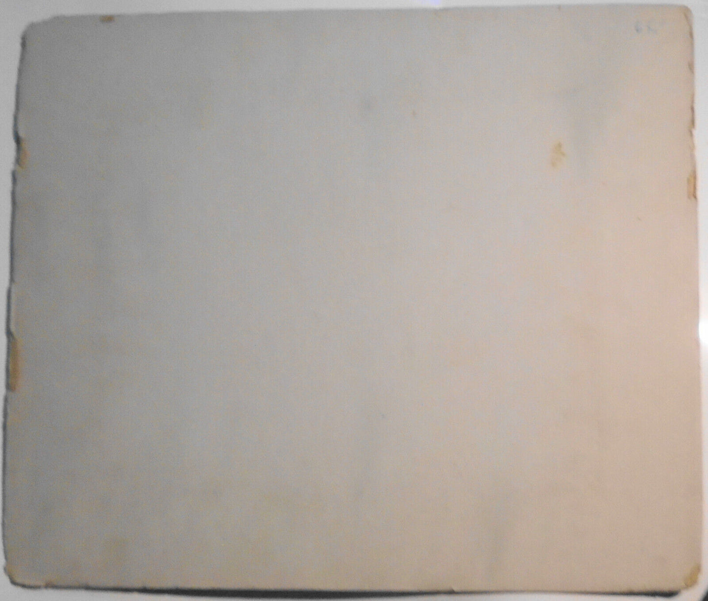 Walter Andersen Nursery at Floral Park, Long Island, New York - ca 1928