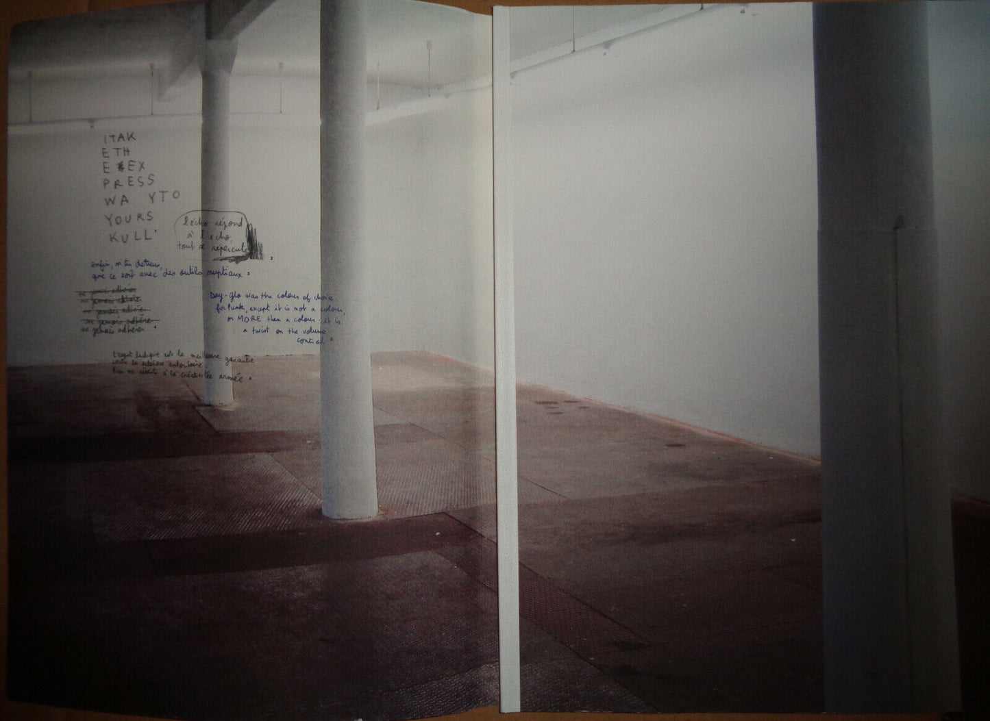 Agathe de Bailliencourt : Despite Territories - SIGNED - Berlin Revolver, 2010