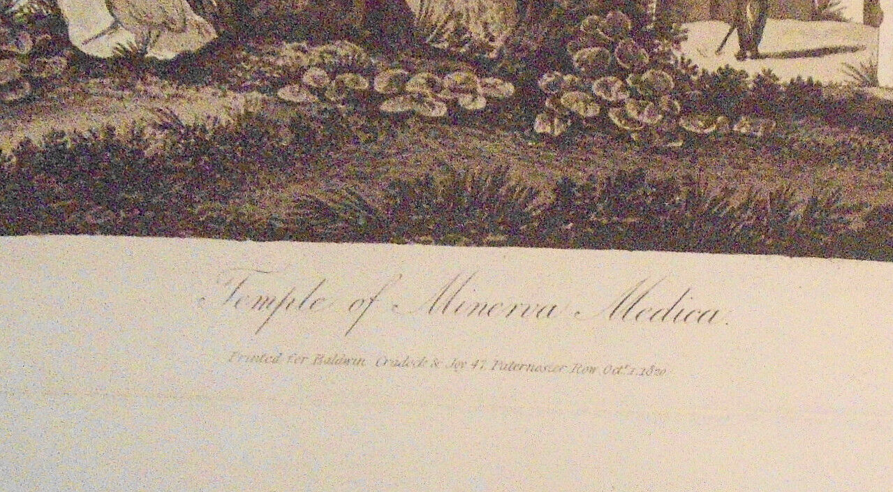 1820 Temple of Minerva, by Henry Abbott.  Aquatinted by R. Reeve. 22.5" x 16.5"