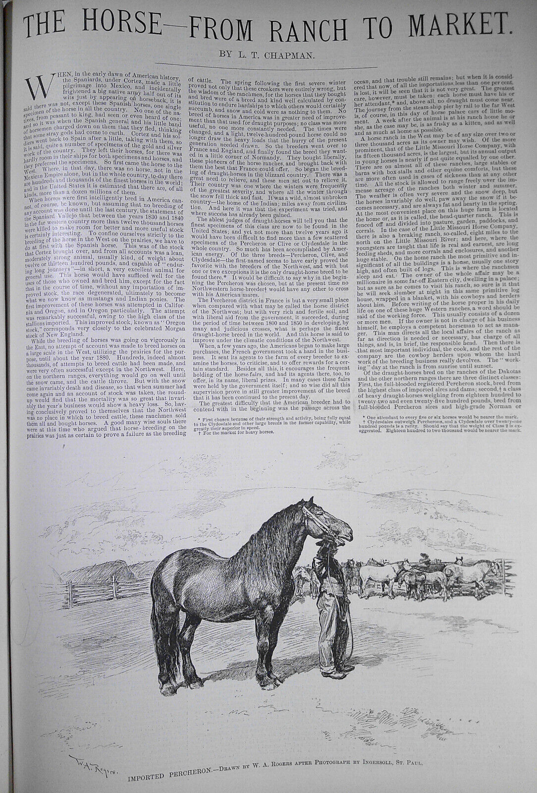 Harper's Weekly May 9, 1891. The Horse from ranch to market; Carnegie Hall; etc