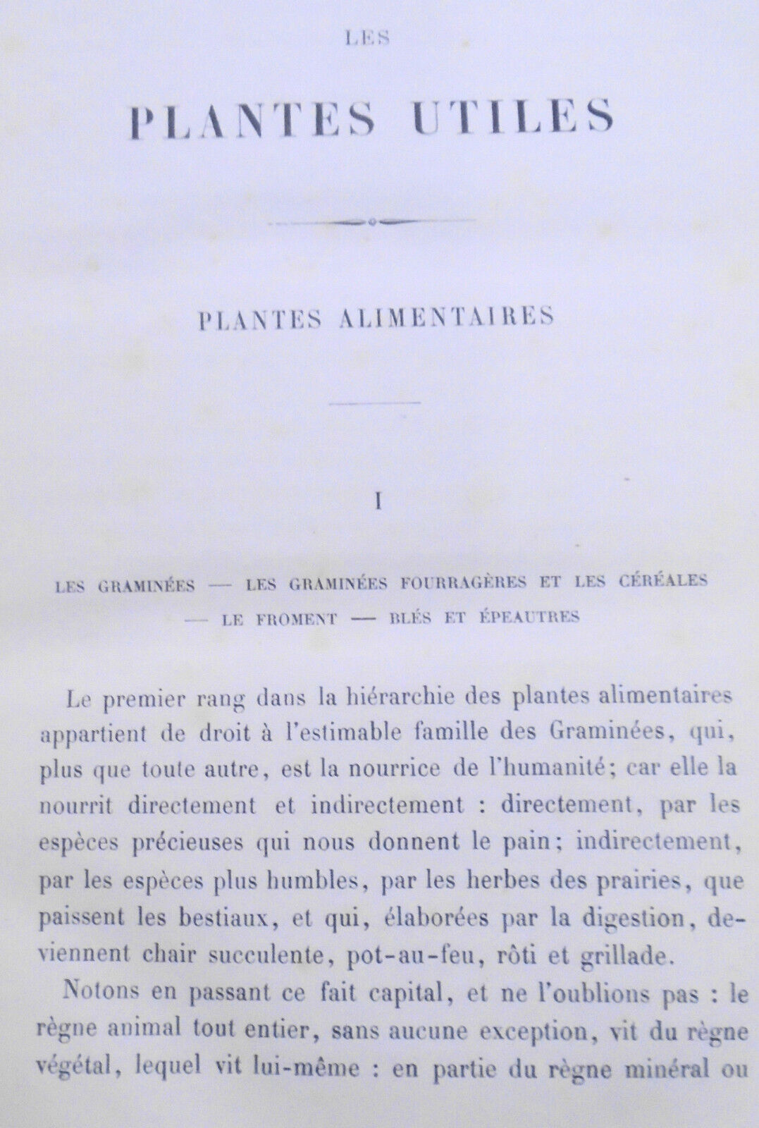 Les Plantes Utiles, by Arthur Mangin. 1886.