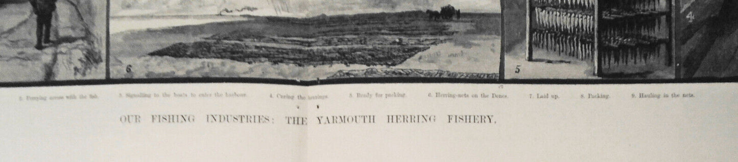 1883  Fishing Industries: Yarmouth Herring/ Int'l Exhibition -many prints & plan