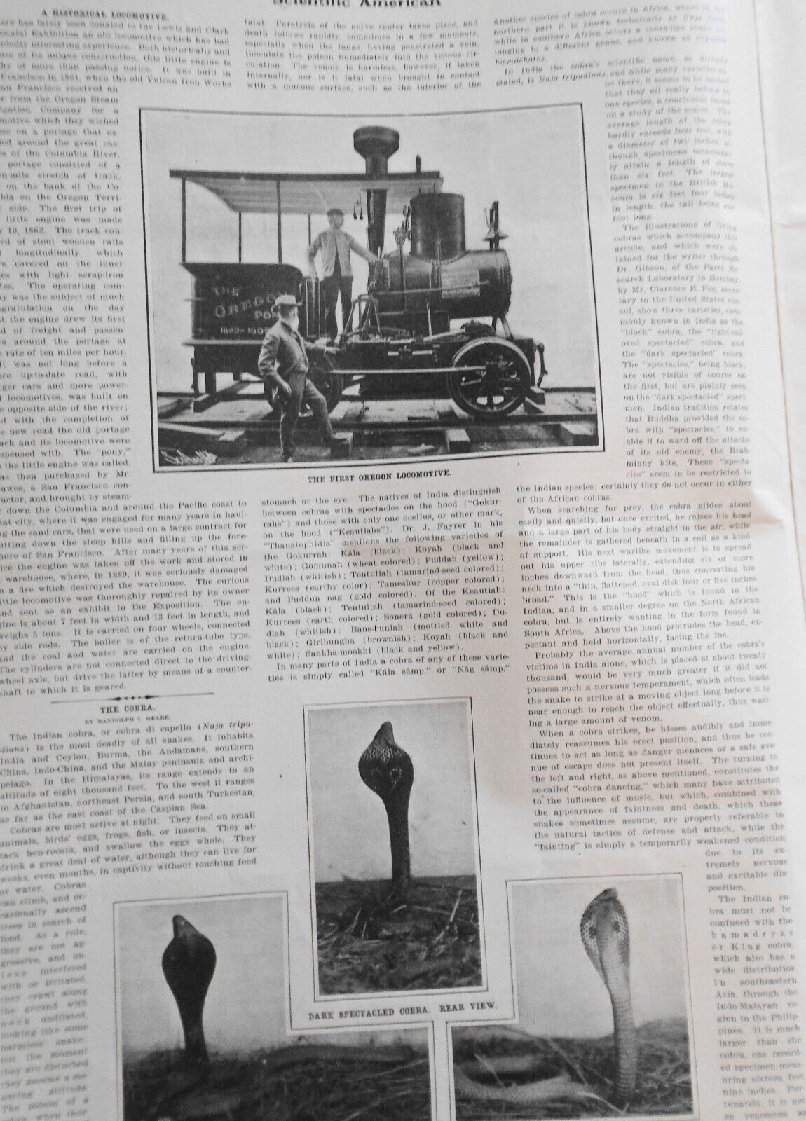 3,000 Mile Ocean Cup Race; US Racing Cars... Scientific American - May 27, 1905