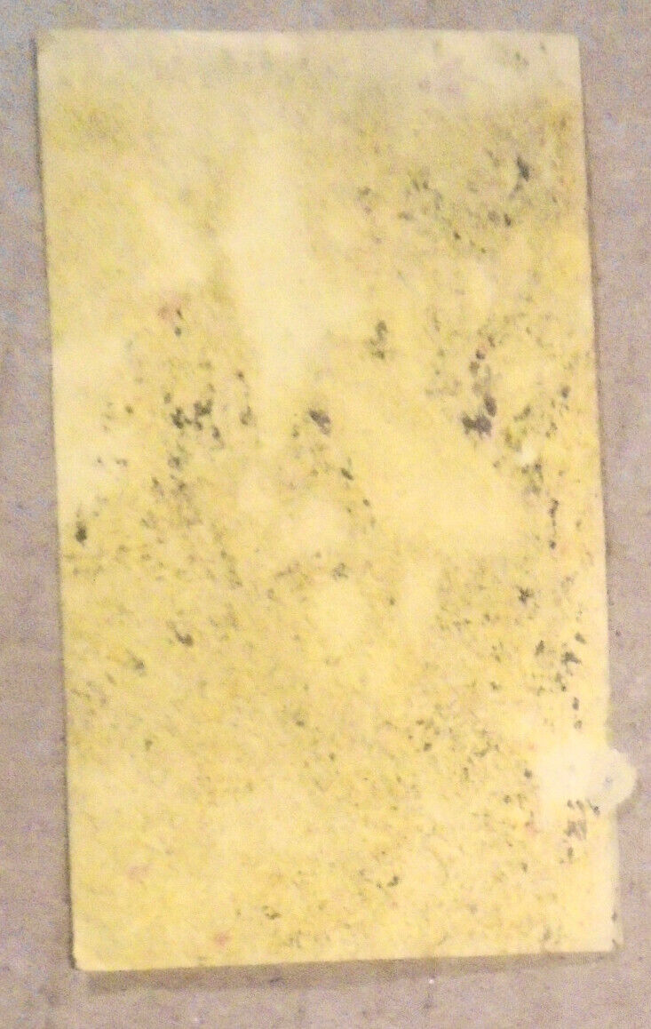 Rudolf Konig, astronomer - Ex Libris Bookplate - circa 1913