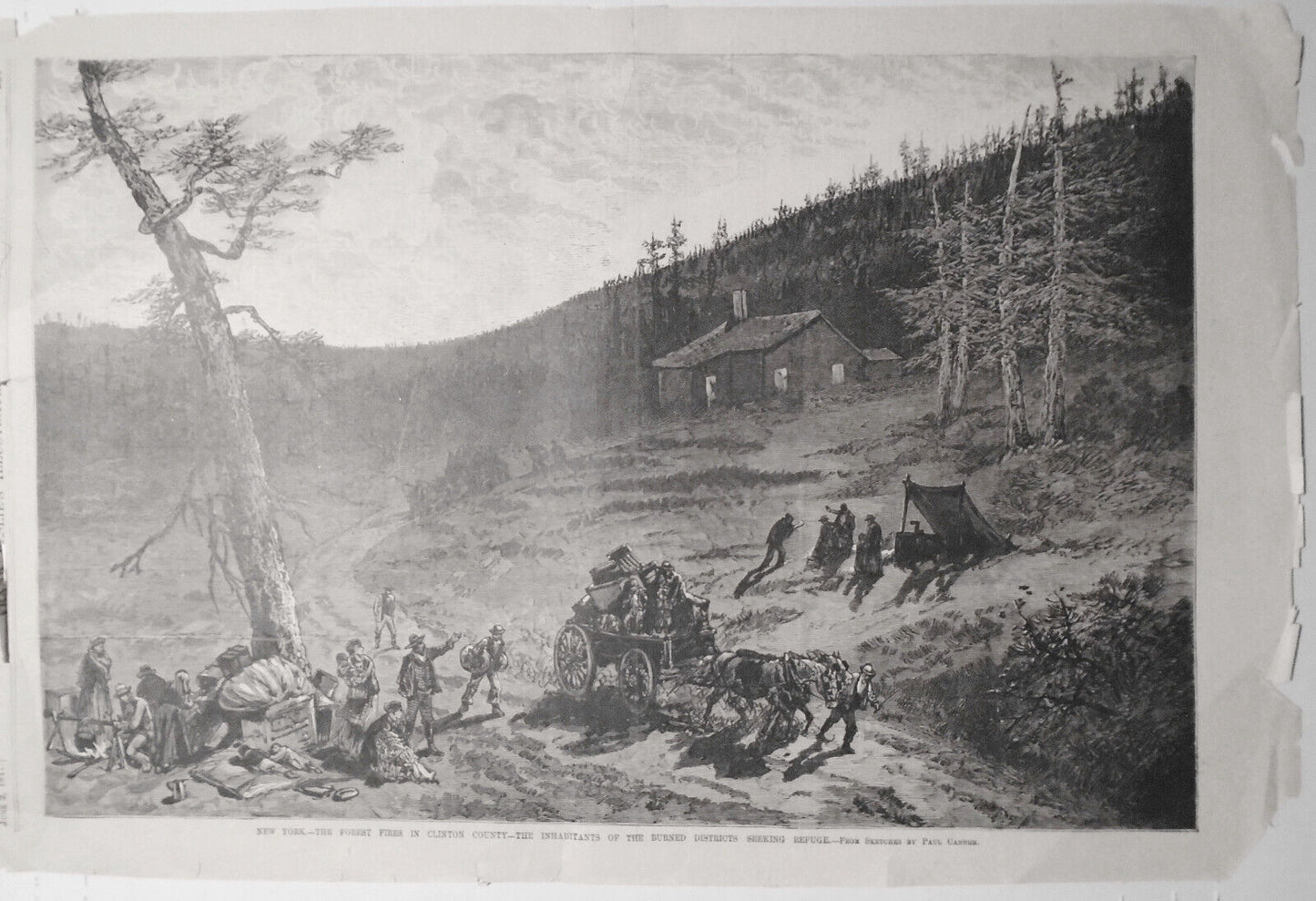 New York - The Forest Fires In Clinton County - Frank Leslie's June 2, 1877