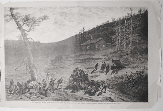 New York - The Forest Fires In Clinton County - Frank Leslie's June 2, 1877