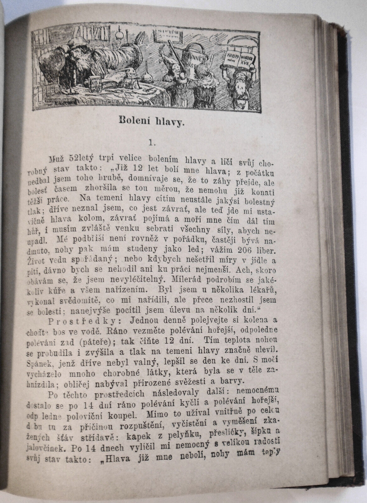 1893 Jak Ziti : Rady a pokyny zdravym i nemocnym, aby proste, rozumne zili ...