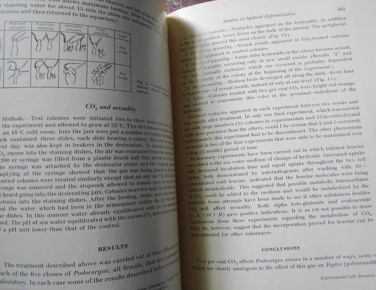Studies in Hydroid Differentiation, by M. H. Braverman, 1962.