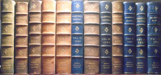 Valentine's manual of old New York, 1916/17 - 1928 - Leather Deluxe, 12 Volumes.