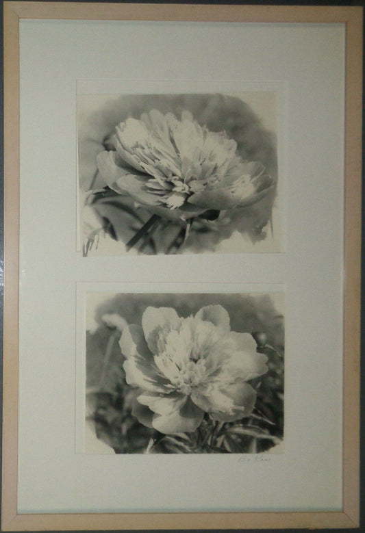 Bo Kass: Dahlias - SIGNED original Silver Gelatin photographs, Framed