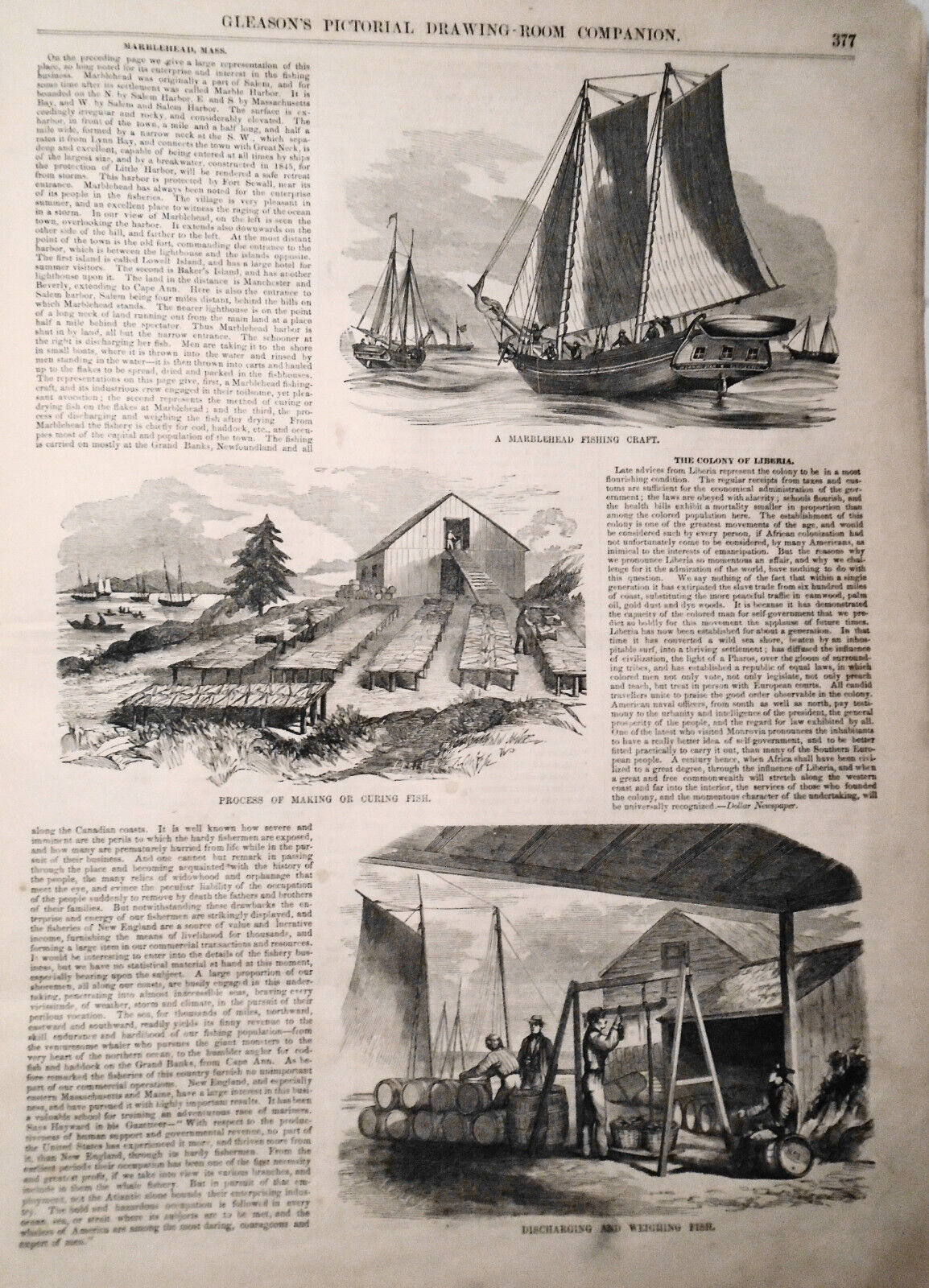 Gleason's Pictorial, June 17, 1854 - Marblehead, MA; Cologne; Great Chartreuse