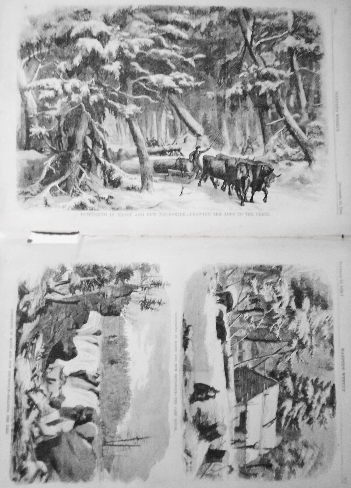 Lumbering in Maine, and New Brunswick - Harper's Weekly 1858 - 3 prints & story