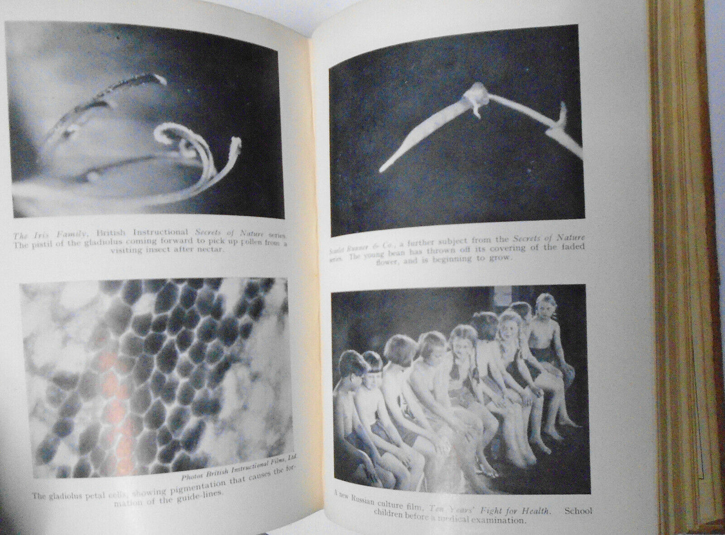 CLOSE UP,  Vol. 4 - Jan - June, 1929. Bound volume of 6 issues. Film magazine
