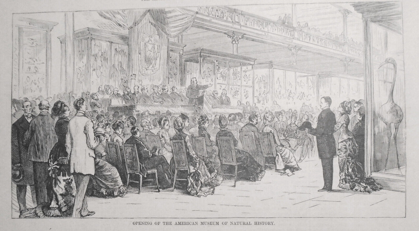 The President's Visit To New York - January 12, 1878 Harper's Weekly