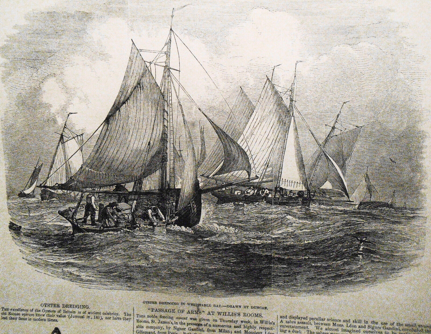 The Illustrated London News August 7, 1847. Middlesex elections; Oyster dredging