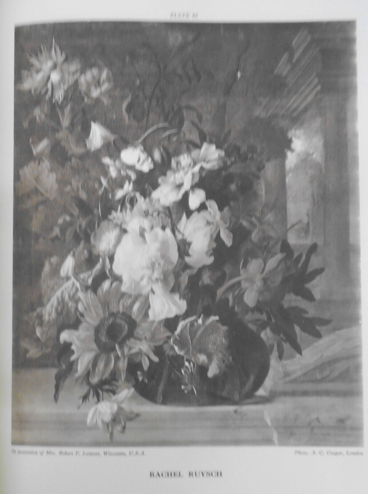 1928 Dutch & Flemish Fruit & Flower Painters of  17th & 18th Centuries - 1st ed